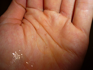 ��l�j�L�r,�����@,�������q����,�j�L�r